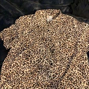 Collard leopard blouse
